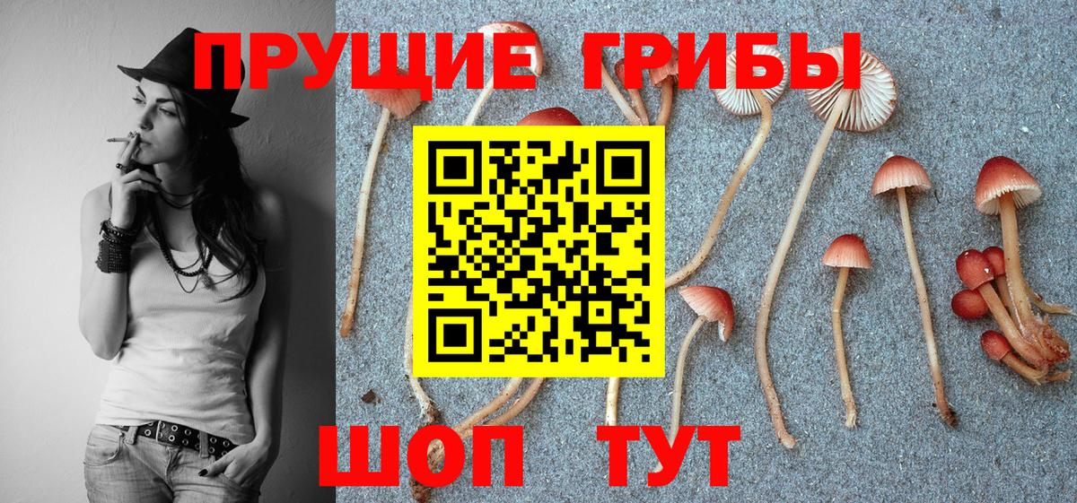 Нефтеюганск  Псилоцибиновые грибы MAGIC MUSHROOMS  Вход с VPN 